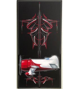 Panel Gee Bee